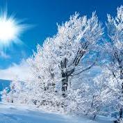 The course of evolution ends where it started, without a beginning; it finishes up where it began, in Not-Being.-Lieh Tzu