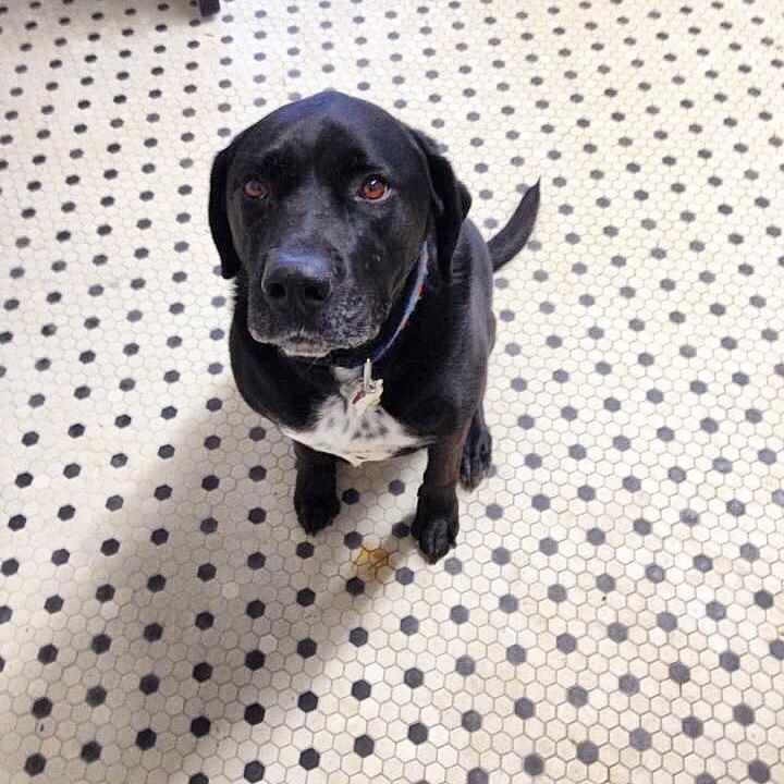 stepbigg's profile picture. 