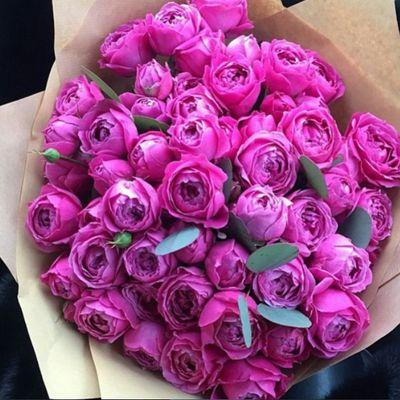 hossah_2's profile picture. لا إله إلا أنت سبحانك إني كنت من الظالمين ..