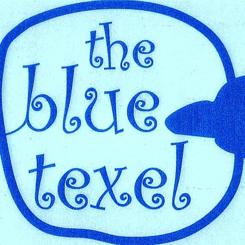 Thebluetexel's profile picture. 
