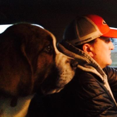 scf434's profile picture. 