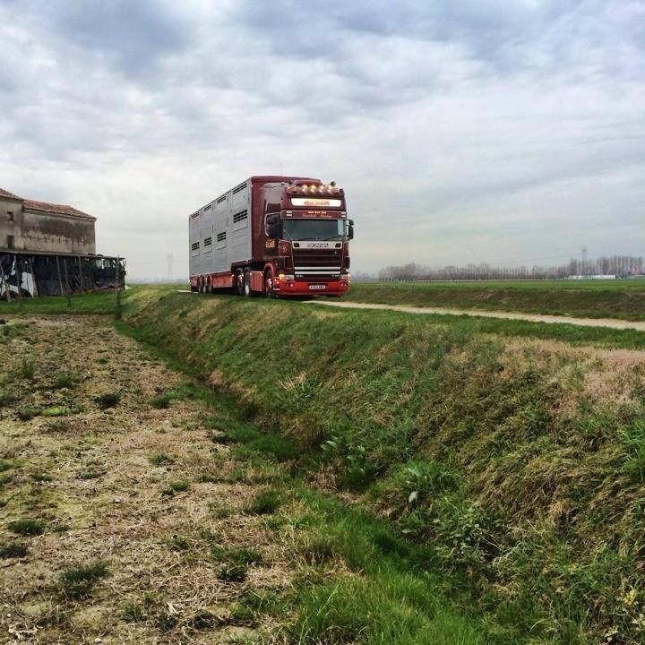 Edward Gilder Livestock Machinery & Genral Hauliers. 01451 820840 edward.gilder@btconnect.com https://t.co/GwjkVo2vjS