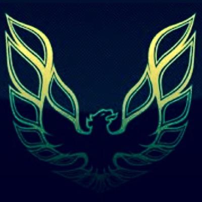 Gaming Youtuber
FIFA
Minecraft 
Call of Duty