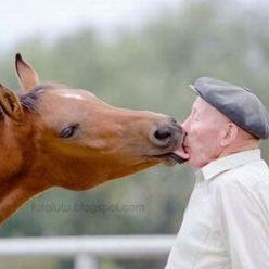 TauJepot's profile picture. 