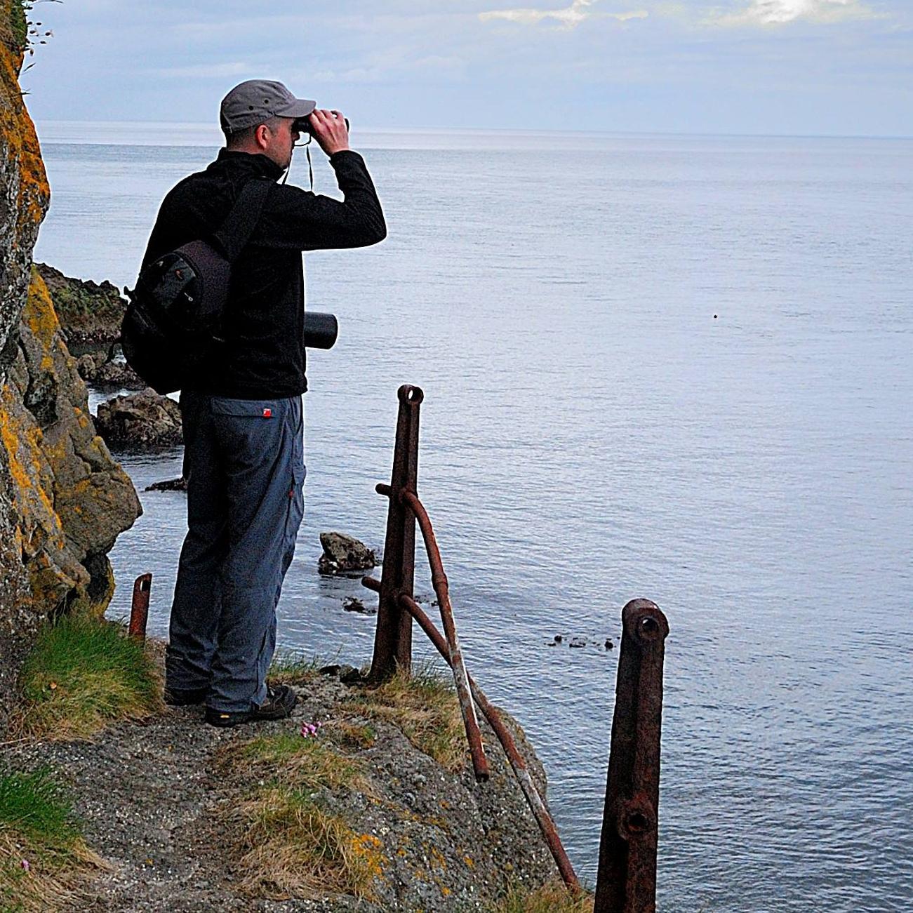 mcfergal77's profile picture. Birding, photography, reading, rambling, music and whiskey in no particular order.