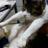 tantan0929's profile image