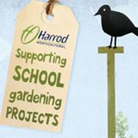 Budding Gardeners(@SchoolsGardens) 's Twitter Profile Photo