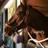 RIDEONCURLIN's profile image