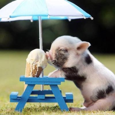 lifeisgreat9999's profile picture. Enjoying life one day at a time.