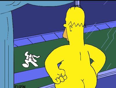 pensamentos do homer solitário