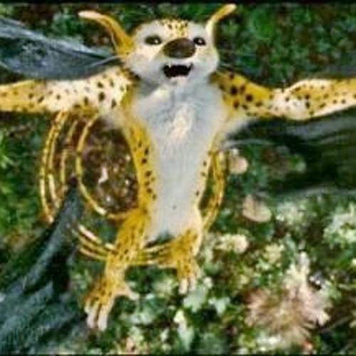 DGMarsue's profile picture. Il était un fois un marsupilami qu...