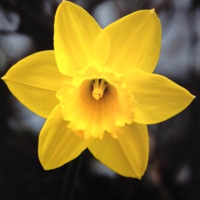 Phil_Chapel's profile picture. 