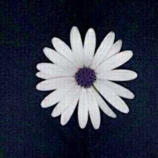 Insta: hanen988777                                                                                                               ‏‏اللهم صل وسلم على نبينا محمد.