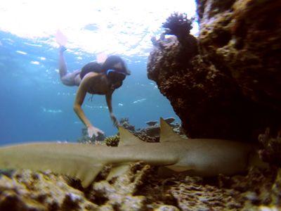 rahmarashela's profile picture. 