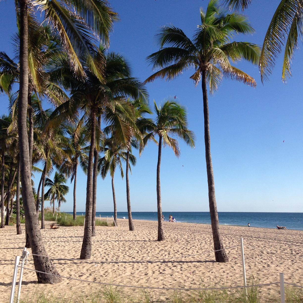 Need to know what's going on in #westpalmbeach? Follow us for up to date listings. Sponsored by @wingsbeachwear.