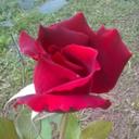 NILDA MABEL FRANK - @0923Mabel - Twitter