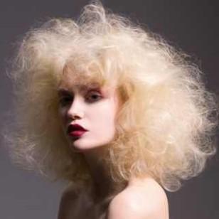 Professional hair color, hair care and hair styling products. Information for salon hair colorists and stylists.