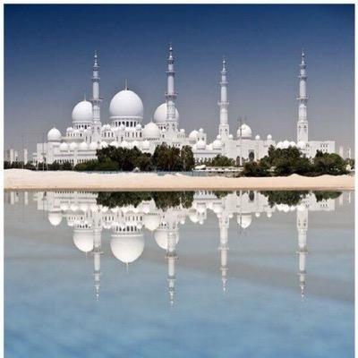 frogy1993's profile picture. سبحان الله والحمد لله ولا اله الا الله والله اكبر اللهم اغفرلي اللهم ارحمني اللهم ارزقني