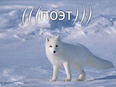 я поэт