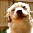 jon dow - @jon__dow - Twitter