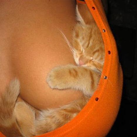 KikeDlibra's profile picture. 