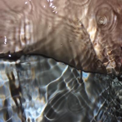 loveIyleo's profile picture. decomposed