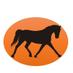 PonyAndMe (@ponyandme) Twitter profile photo