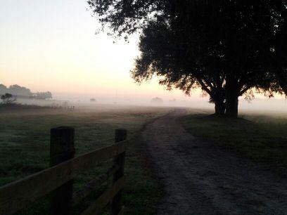 2ndConscience's profile picture. For words better left unsaid. INFJ (Sometimes 21+) DM if you want (Probably won't reply)