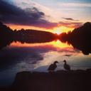 julie rutter - @ruttervillage - Twitter