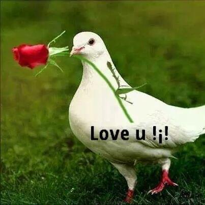 ajeetssm's profile picture. Honesty is the best policy.