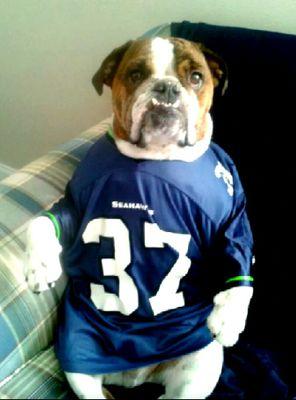 piztol_pete's profile picture. 