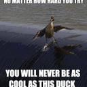 Holly Potts - @HollyAnnePotts - Twitter