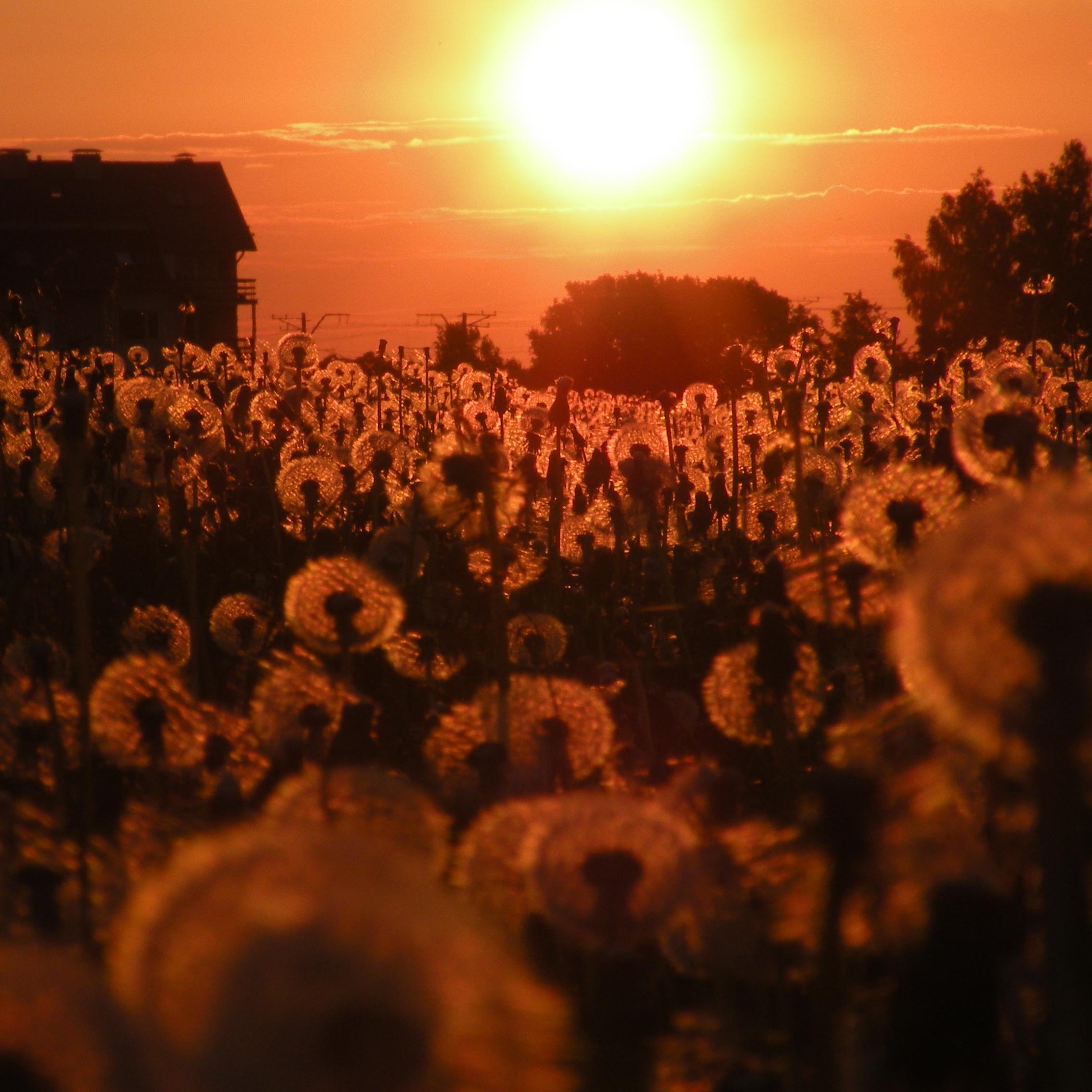 hihi_santa's profile picture. 