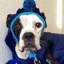 Jamie Travis - @JamieTravis2010 - Twitter