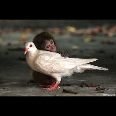احب نفسي .@