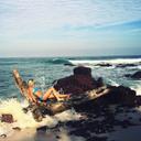 Abby Dolan - @abby_dolan - Twitter