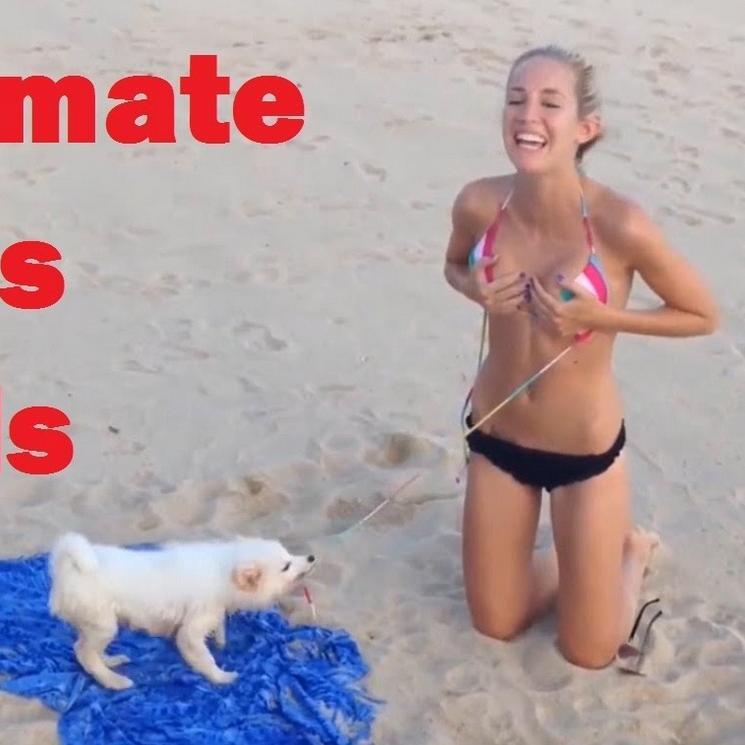 funny videos,videos fails,collection of funny videos,Fails video compilation,Fails compilation videos,funniest video,silly video,funny video in history,world's