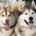 Michael Torrence - @matorrence1 - Twitter