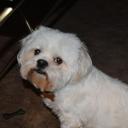 roberta mcdaniel - @Robertadian52 - Twitter