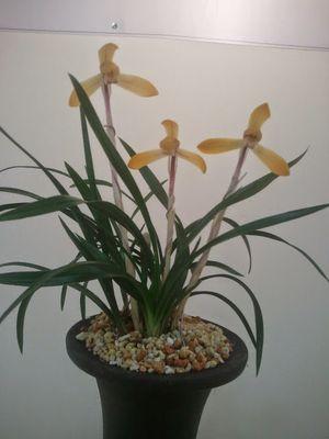 abzVHbcP0Go6Mjv's profile picture. 