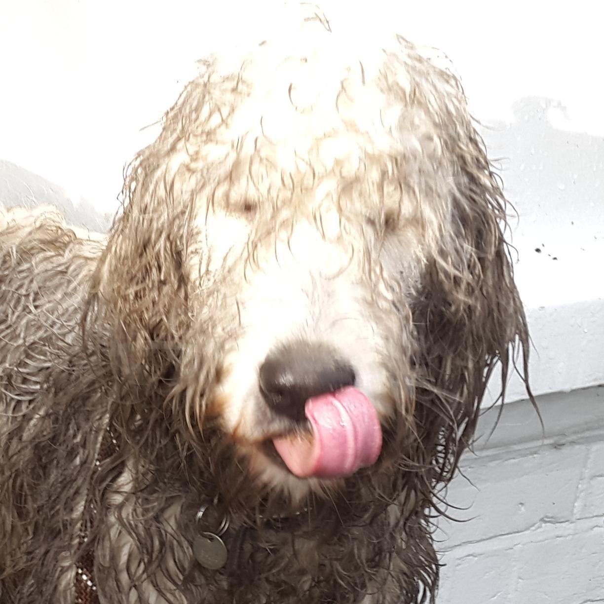 Born on New Years eve, think I must be a God of the good times. I have webbed feet but no balls. I just nick other peoples.