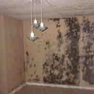 UAC Mold Removal provides a 24 hour rapid response service to the insurance industry and private sector for fire and water damage restoration in both domestic a