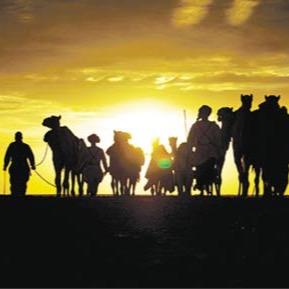 iALawamer's profile picture. مجلس قبيلة العوامر