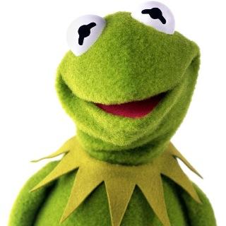 burcuerdoann's profile picture. 