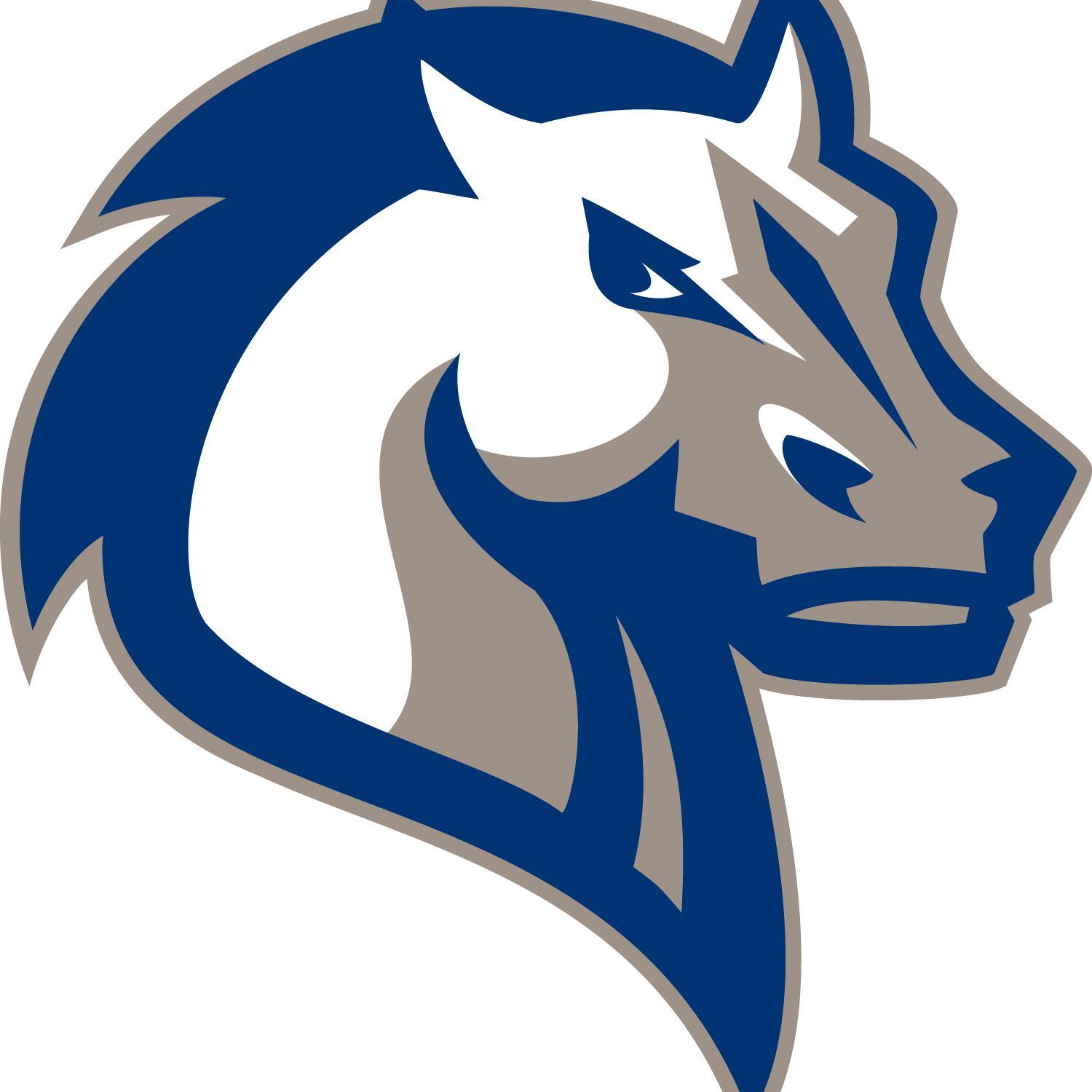 MercyMLAX Profile