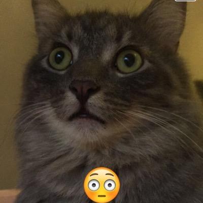 Jacomie_Homie's profile picture. 