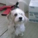 debra pye - @debra_pye - Twitter