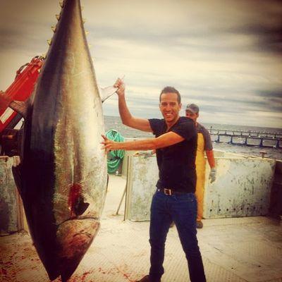 Apasionado de la gastronomía Jefe de ventas de Campomar