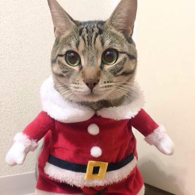 お仕事、お勉強お疲れさまです！ここで癒されていってください♪ 癒されたらRT、フォローお願いします❤️