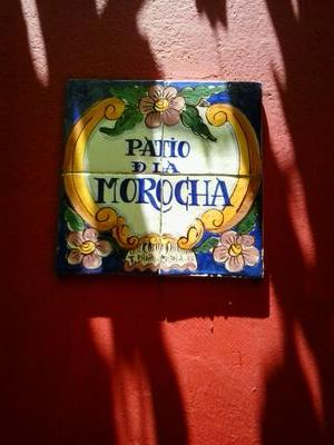 El blues es la tristeza musical. La vidala es la llaga.El grito negro es sensual y orgiástico.El grito indígena es ascético,pétreo y arenoso. Cantora